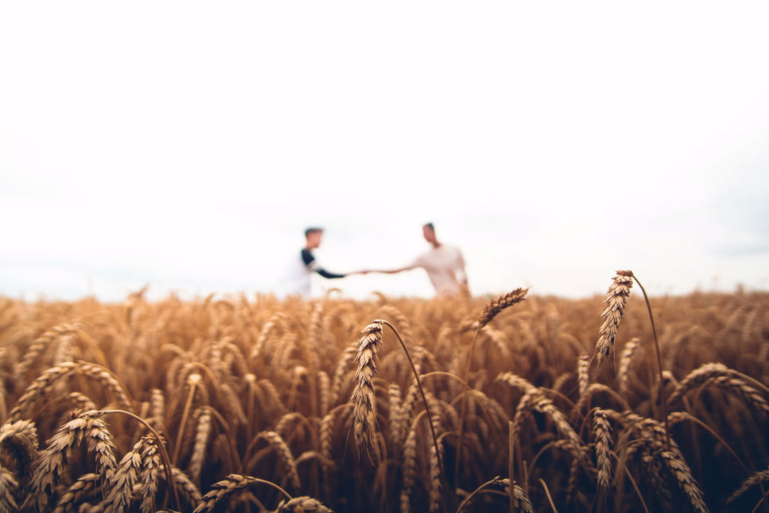 Agriculture & Environment